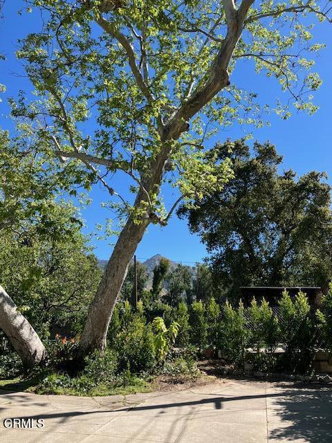 Image 9 of 29 For 1520 Carroll Drive