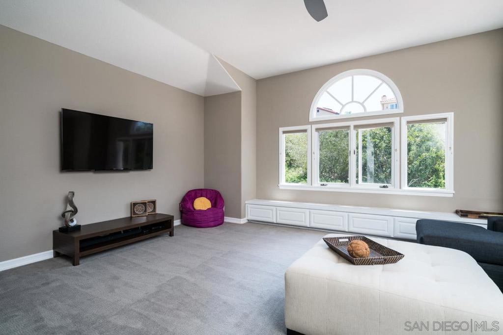 3057 Caminito Sagunto - photo 13