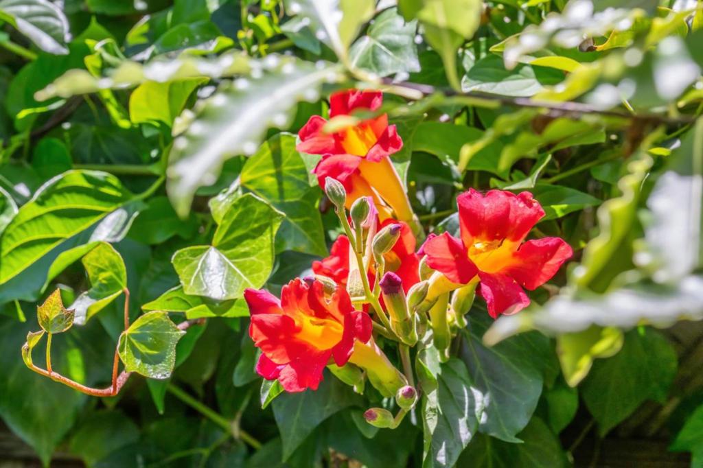 https://media.crmls.org/mediaz/d22707b2-159c-4896-be44-42b2475078f1.jpg?preset=X-Large