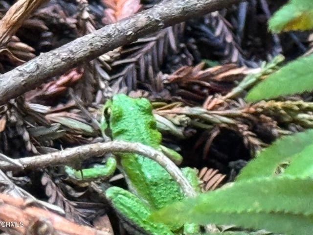 Detail Gallery Image 28 of 41 For 23501 Branscomb Rd, Westport,  CA 95488 - – Beds | – Baths