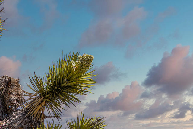 Image 22 of 26 For 101 Hondo Street