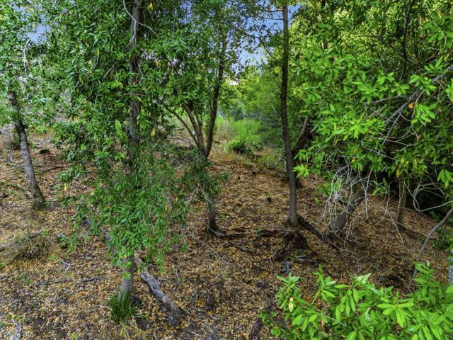 12 Montecito Road, Woodside CA: https://media.crmls.org/mediaz/d254d943-a1ba-49f2-945d-732bec40ec73.jpg