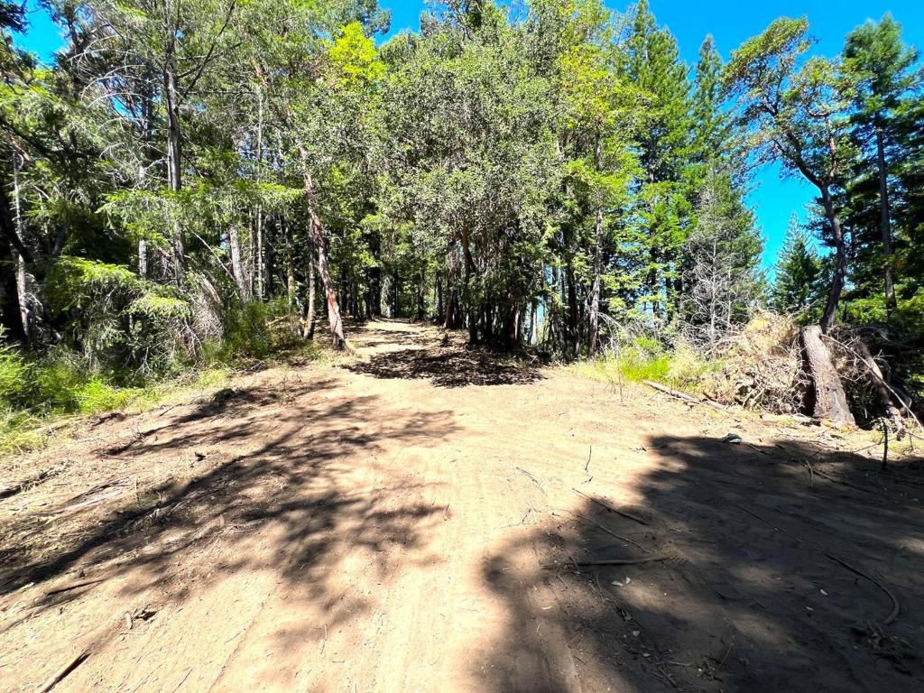 MLS #ML81973209 image #31