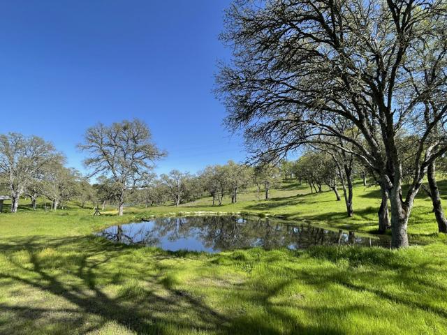 3570 Stagecoach Road, Copperopolis CA: https://media.crmls.org/mediaz/d2688636-62cd-40bd-bf47-a83883756a04.jpg