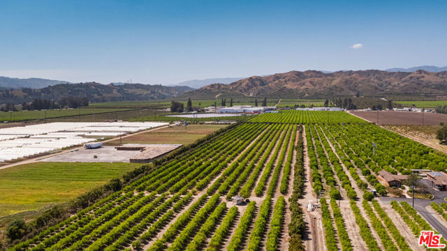13721 W Telegraph Road, Santa Paula CA: https://media.crmls.org/mediaz/d271121a-a52b-4691-927f-f1b653a4b53b.jpg