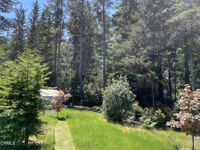 29331 Albion Ridge Road, Albion CA: https://media.crmls.org/mediaz/d2731369-f8f2-489f-b6dd-94119eab89b8.jpg