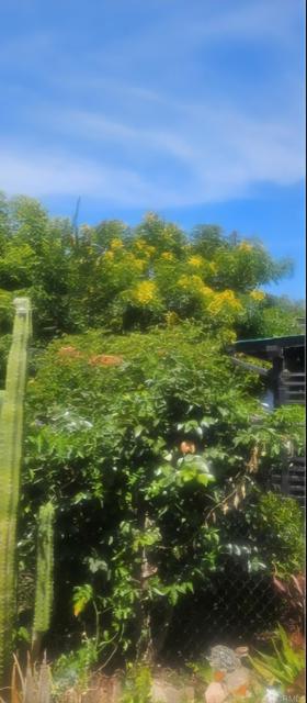 620 Sunset Drive, Vista CA: https://media.crmls.org/mediaz/d2753137-3d14-4ef6-94cb-a926c9d4b6c5.jpg