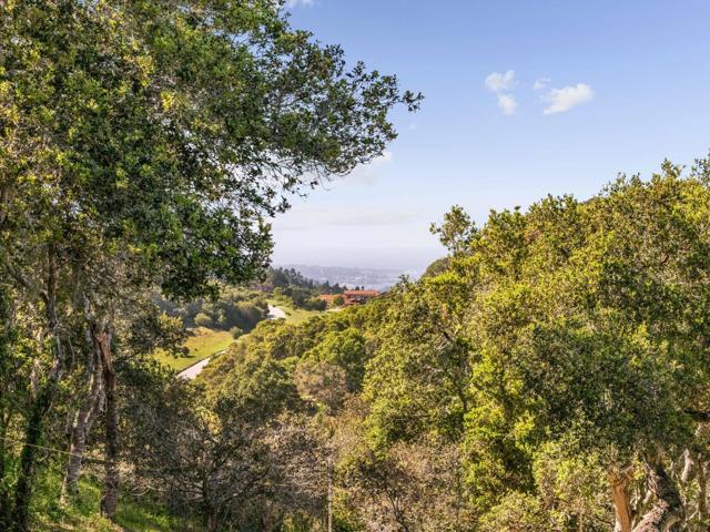 8350 Tres Paraiso (Lot 73), Carmel CA: https://media.crmls.org/mediaz/d27d2af9-b2f3-47bc-81d8-0e8f81be35f6.jpg
