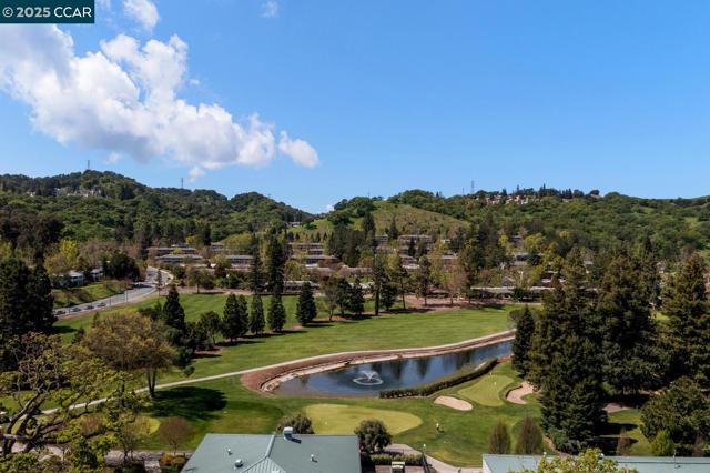 1244 Singingwood Ct., Walnut Creek CA: https://media.crmls.org/mediaz/d280c031-11be-4887-bc47-eaacfd159cb2.jpg