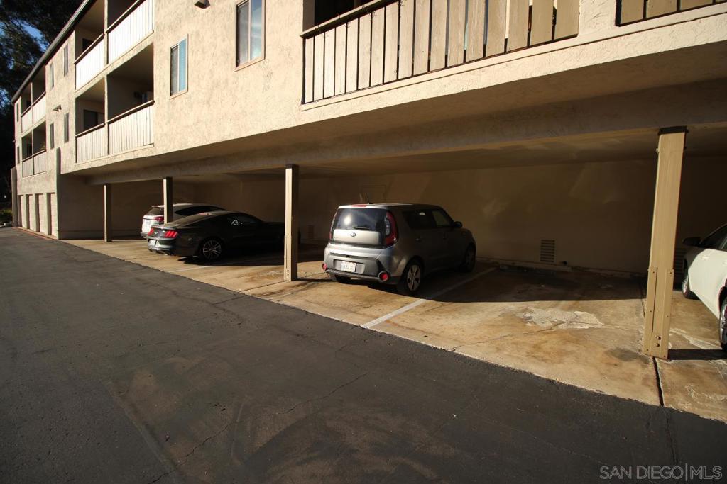 10332 Caminito Aralia - photo 16