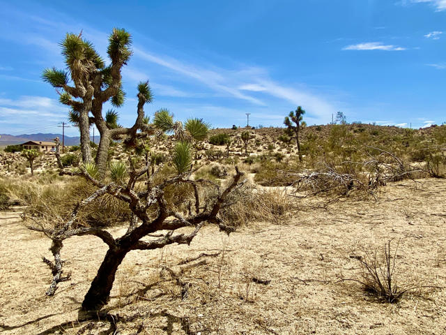 104 Bandera Road, Yucca Valley CA: https://media.crmls.org/mediaz/d28a02f7-8cab-4912-8586-3802bfdb920c.jpg