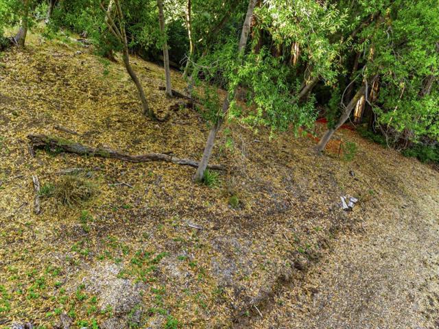 12 Montecito Road, Woodside CA: https://media.crmls.org/mediaz/d28c3d26-609b-415c-acac-27fc8f3ed1eb.jpg