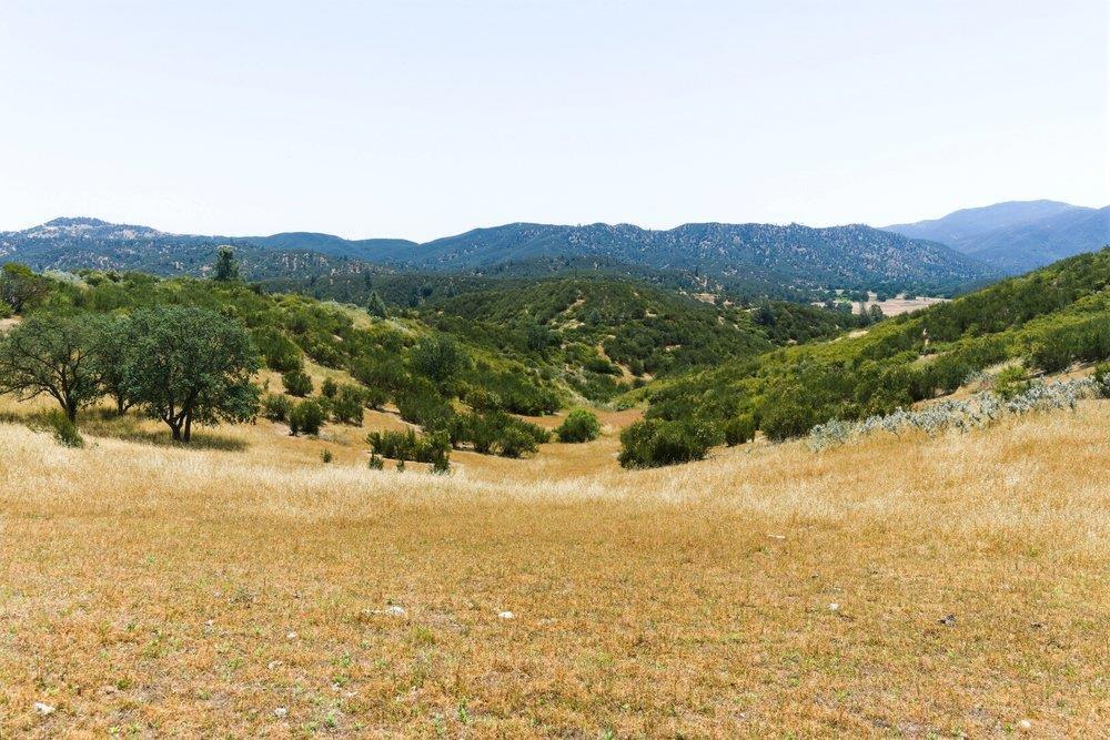 https://media.crmls.org/mediaz/d29d512e-aa51-436e-9d36-7ecf3d6aa651.jpg?preset=X-Large
