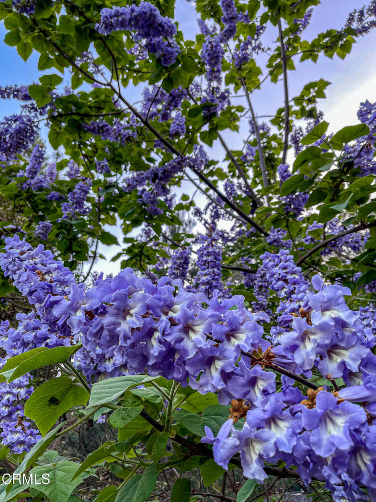https://media.crmls.org/mediaz/d2b82315-c30c-4c22-85d5-f36507ee877e.jpg?preset=X-Large