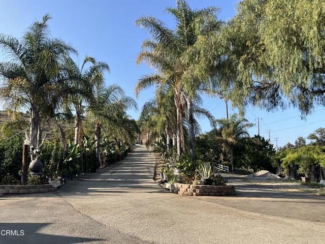 Detail Gallery Image 5 of 27 For 7907 Balcom Canyon Rd, Somis,  CA 93066 - – Beds | – Baths
