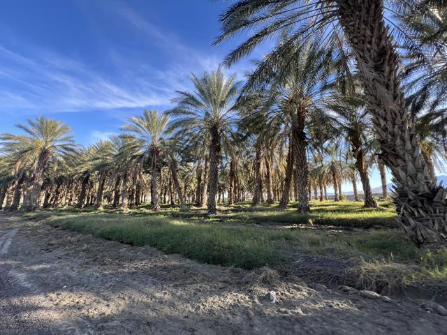 0 Nwc Pierce St & Ave 64, Thermal CA: https://media.crmls.org/mediaz/d2d7bc36-33ed-4721-ac33-9cf9c1451072.jpg