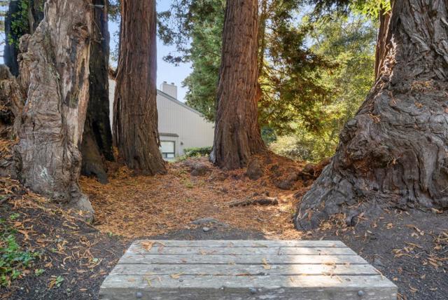 355 Village Creek Road, Aptos CA: https://media.crmls.org/mediaz/d2d840d8-ced2-4906-8dd1-b424dcbd094f.jpg