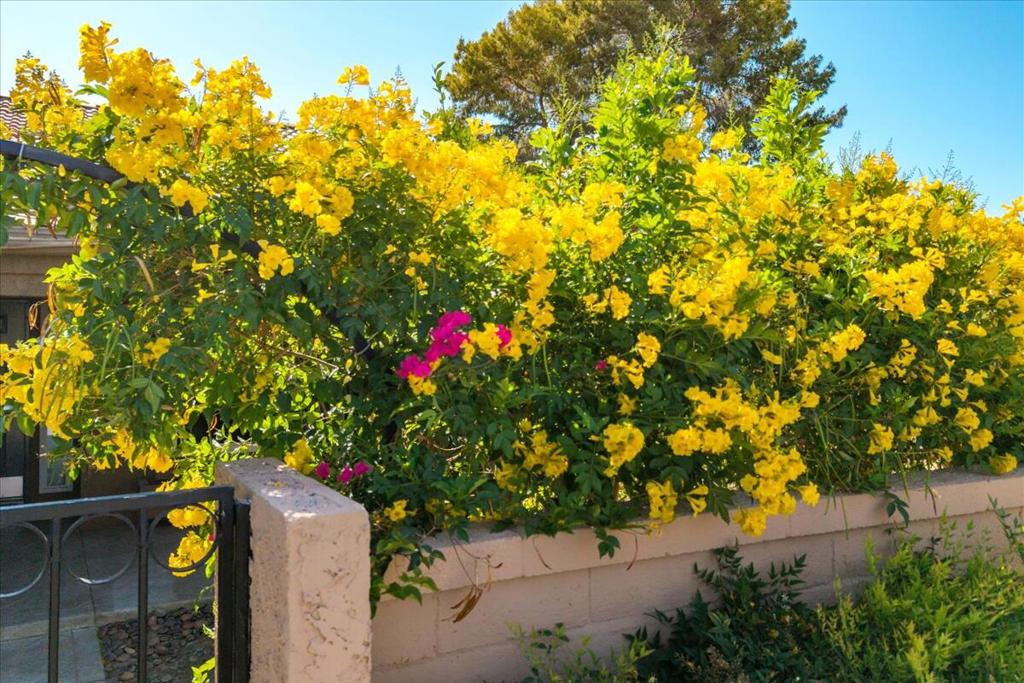 MLS #219135342DA image #46