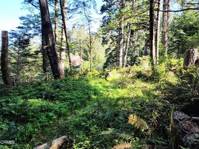 Detail Gallery Image 9 of 23 For 44551 Raven Ln, Mendocino,  CA 95460 - – Beds | – Baths