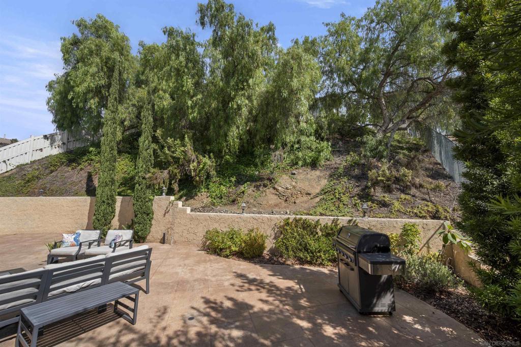 MLS #250041471SD image #44