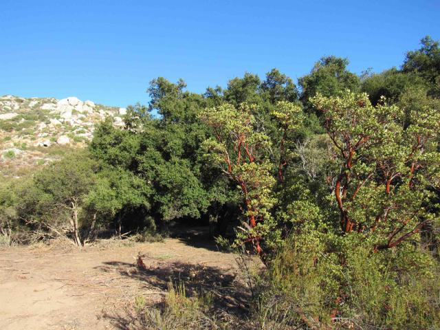 Detail Gallery Image 8 of 19 For 2115 N Campo Truck Trail, Campo,  CA 91906 - – Beds | – Baths