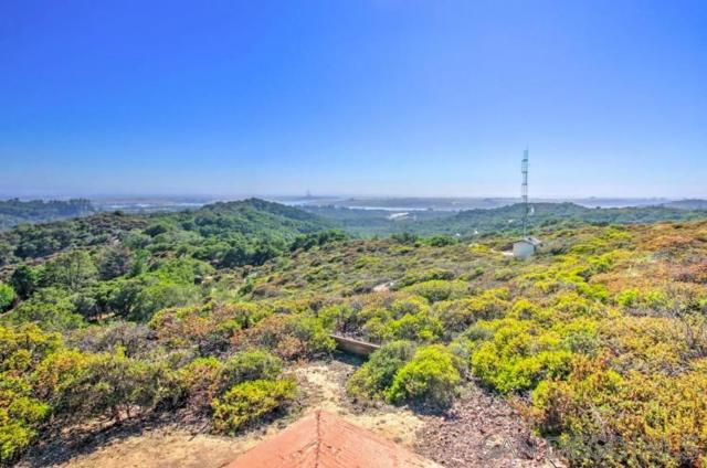 Elkhorn Slough lies in the middle of the crescent shaped Monterey Bay-the largest open bay on the California Coast-at Moss Landing Harbor. With counts exceeding 100 animals Elkhorn Slough has the highest concentration of southern sea otters in California.