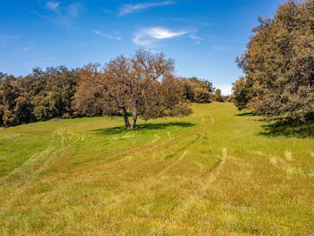 Detail Gallery Image 21 of 42 For 342 Acres Mesa Grande Rd, Santa Ysabel,  CA 92070 - – Beds | – Baths