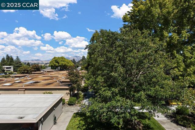 2200 Pine Knoll Dr, Walnut Creek CA: https://media.crmls.org/mediaz/d316a36d-d9c1-4e3c-96be-1ffae201c7ab.jpg