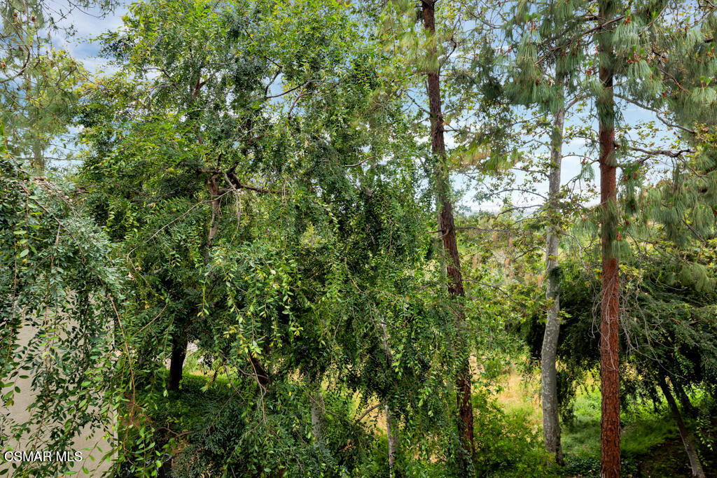 https://media.crmls.org/mediaz/d325d64a-da11-4ed6-a96d-a3810545c246.jpg?preset=X-Large