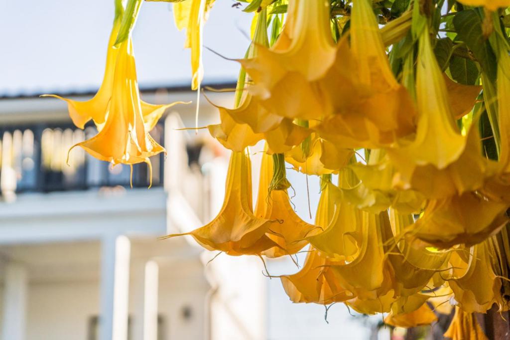 https://media.crmls.org/mediaz/d342511c-67ca-4109-be02-59a3d1b21e5d.jpg?preset=X-Large