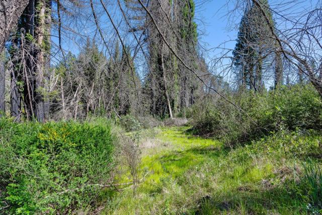 15995 Big Basin Way, Boulder Creek CA: https://media.crmls.org/mediaz/d34762bf-39e2-47d0-89a4-217dbde855cf.jpg