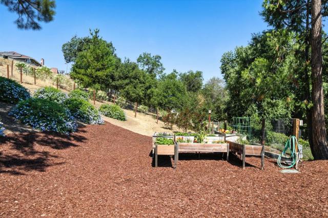 19541 Almaden Road, San Jose CA: https://media.crmls.org/mediaz/d35359f0-4c45-4a2b-a839-d76ef7be3ead.jpg