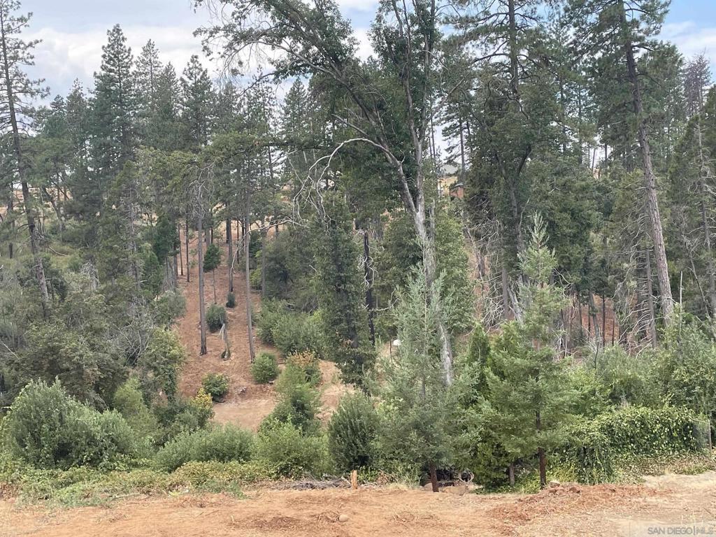 MLS #250037729SD image #5