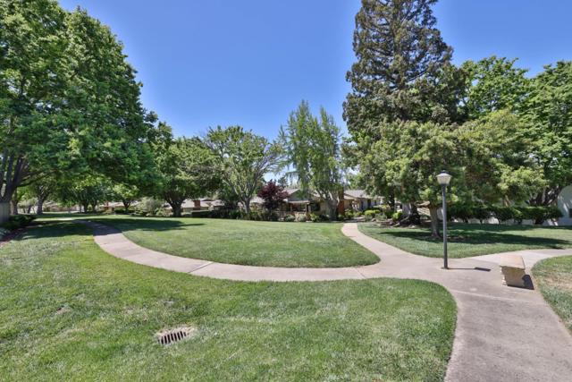 5111 Cribari Place, San Jose CA: https://media.crmls.org/mediaz/d3648fd8-3edd-495c-b1ed-cd43c623d567.jpg