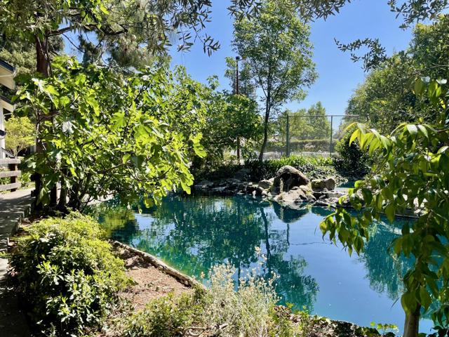 1086 Summerplace Drive, San Jose CA: https://media.crmls.org/mediaz/d36c10ea-1160-49a2-b967-1877c61384bb.jpg