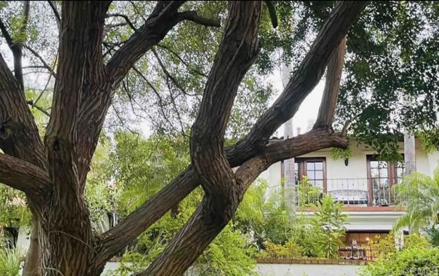 Detail Gallery Image 58 of 65 For 7401 Luna De Oro, Rancho Santa Fe,  CA 92067 - 4 Beds | 3/2 Baths