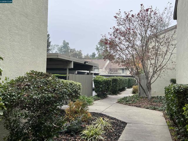 2562 Walnut Blvd, Walnut Creek CA: https://media.crmls.org/mediaz/d374c7b1-406c-4ad7-8f80-90121a7f6914.jpg