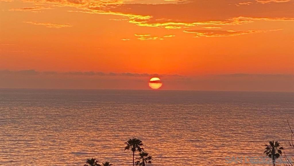 MLS #250043109SD image #49