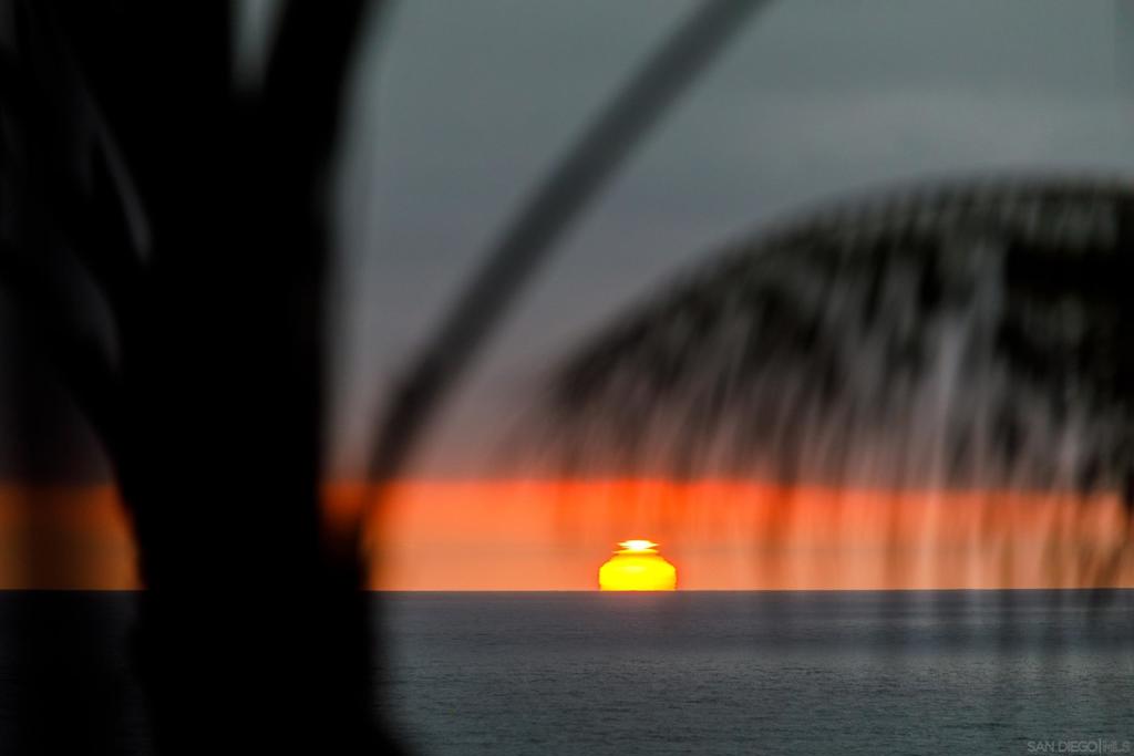 MLS #250041465SD image #44