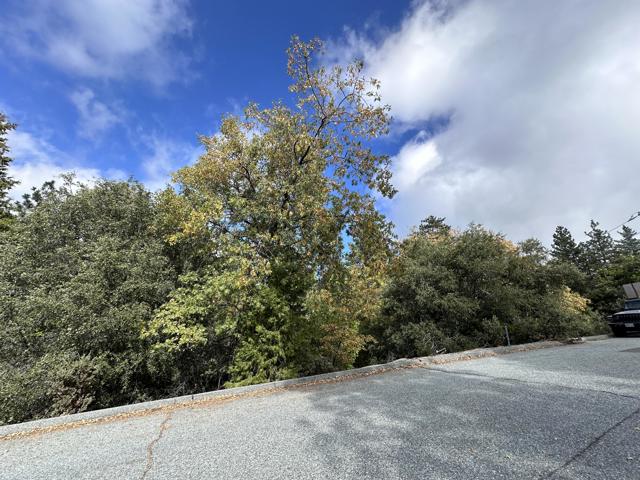 0 Round Robin, Idyllwild CA: https://media.crmls.org/mediaz/d3a41482-3aaf-4b8b-92ee-09f724feba25.jpg