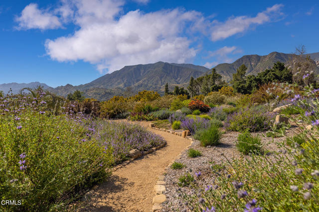 Detail Gallery Image 48 of 67 For Address Is Not Disclosed, Ojai,  CA 93023 - 7 Beds | 5/1 Baths