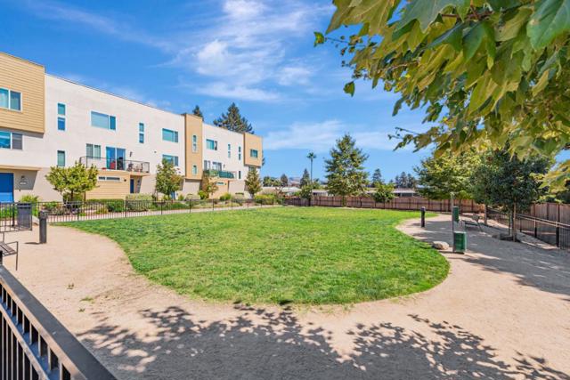 588 Apricot Way, San Jose CA: https://media.crmls.org/mediaz/d3a79558-c92f-470d-9a81-e5160ffcf6ec.jpg
