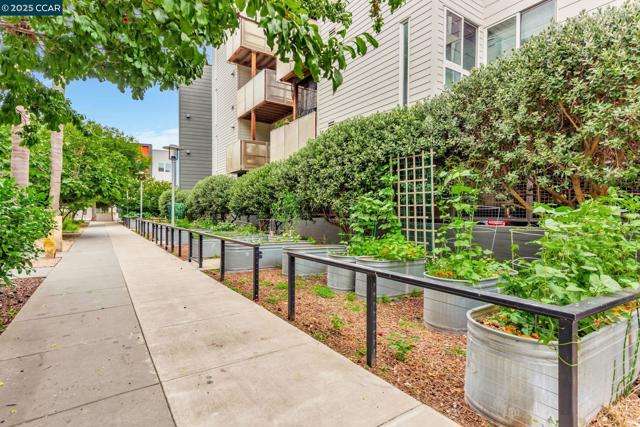 1231 Pine St, Oakland CA: https://media.crmls.org/mediaz/d3aa2ebf-9523-4322-a18c-1073af8db162.jpg