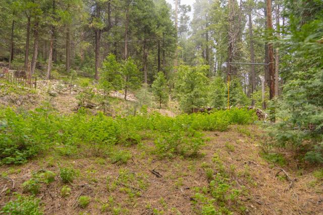 710 Blue Jay Canyon Road, Lake Arrowhead CA: https://media.crmls.org/mediaz/d3b41efc-3f13-4886-bd45-669b3766fab6.jpg