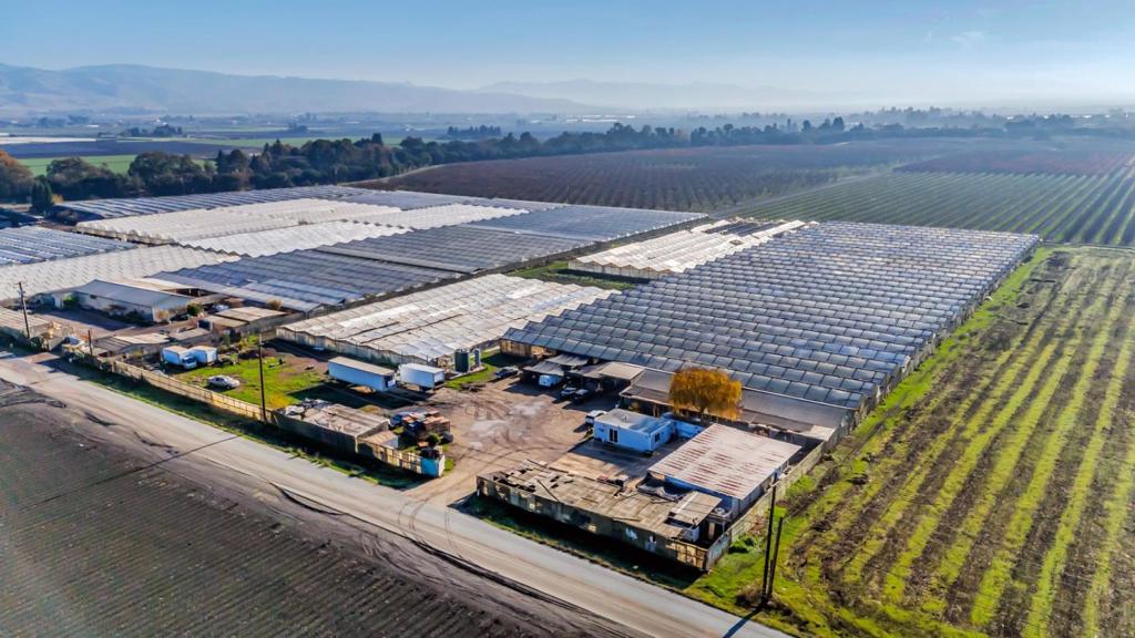 MLS #ML81996407 img 5