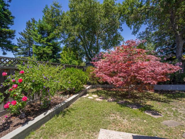 739 Quartz Street, Redwood City CA: https://media.crmls.org/mediaz/d3c2bd0f-9551-4bdc-adcb-eb7ab1842070.jpg