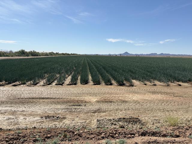 Image 2 of 17 For 187 Water Toll Acres On Ben Hulse Highway