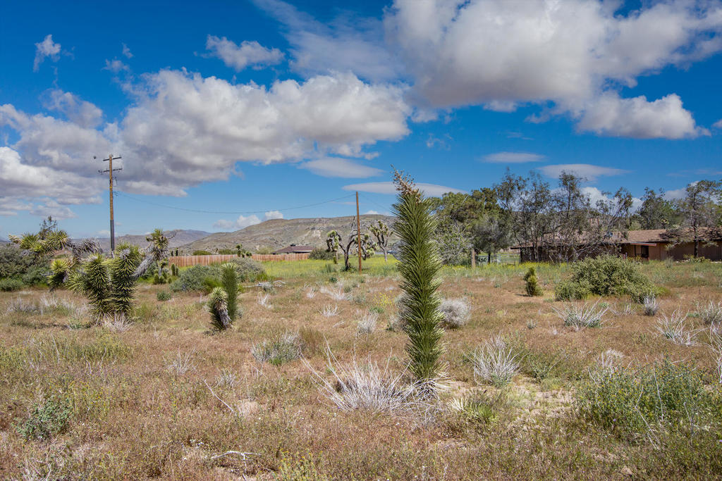MLS #219129866PS image #17