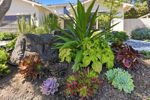 764 Bain Place, Redwood City CA: https://media.crmls.org/mediaz/d3c6d608-5e3f-4ee4-b437-61cd315c1ec9.jpg