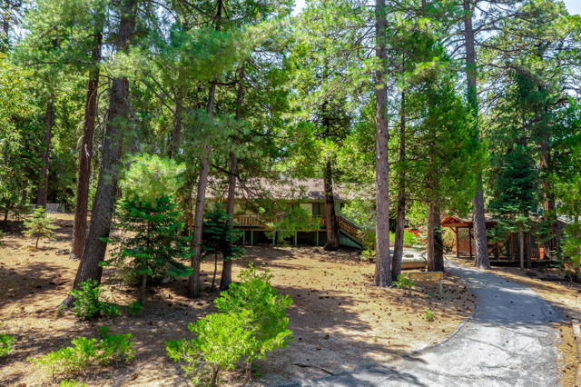 52551 Pine Ridge Road, Idyllwild CA: https://media.crmls.org/mediaz/d3d09bf5-6c87-449f-88fb-8ce3480fb315.jpg